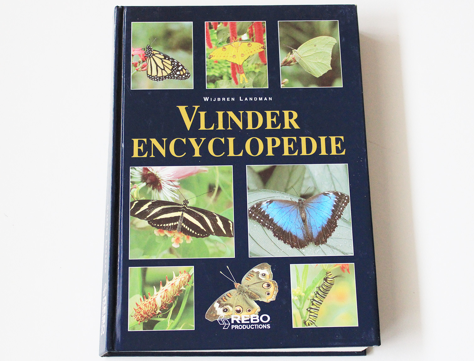 vlinder encyclopedie
